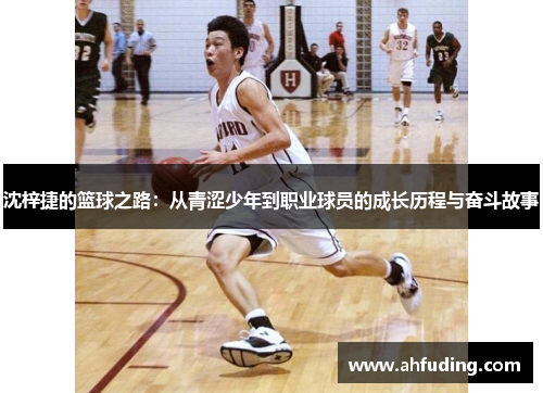 沈梓捷的篮球之路：从青涩少年到职业球员的成长历程与奋斗故事